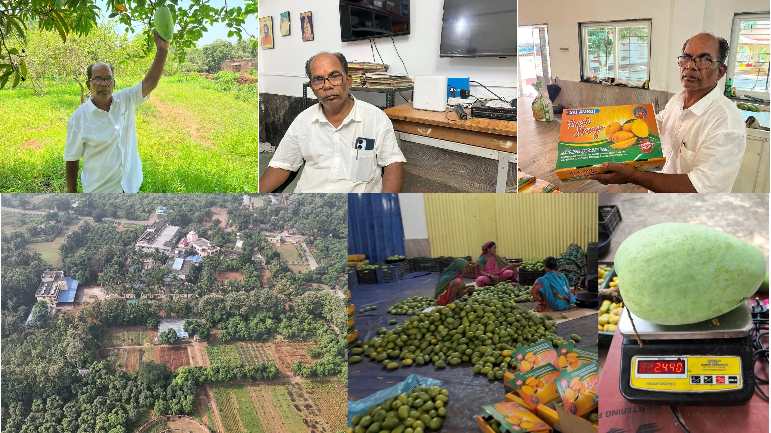 Digital connectivity helps Dhenkanal Ashram take organic mangoes across India