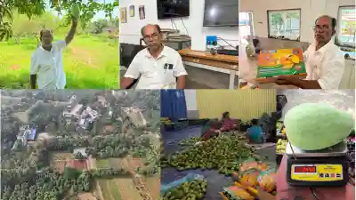 Digital connectivity helps Dhenkanal Ashram take organic mangoes across India