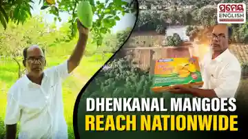 Digital connectivity helps Dhenkanal Ashram take organic mangoes across India