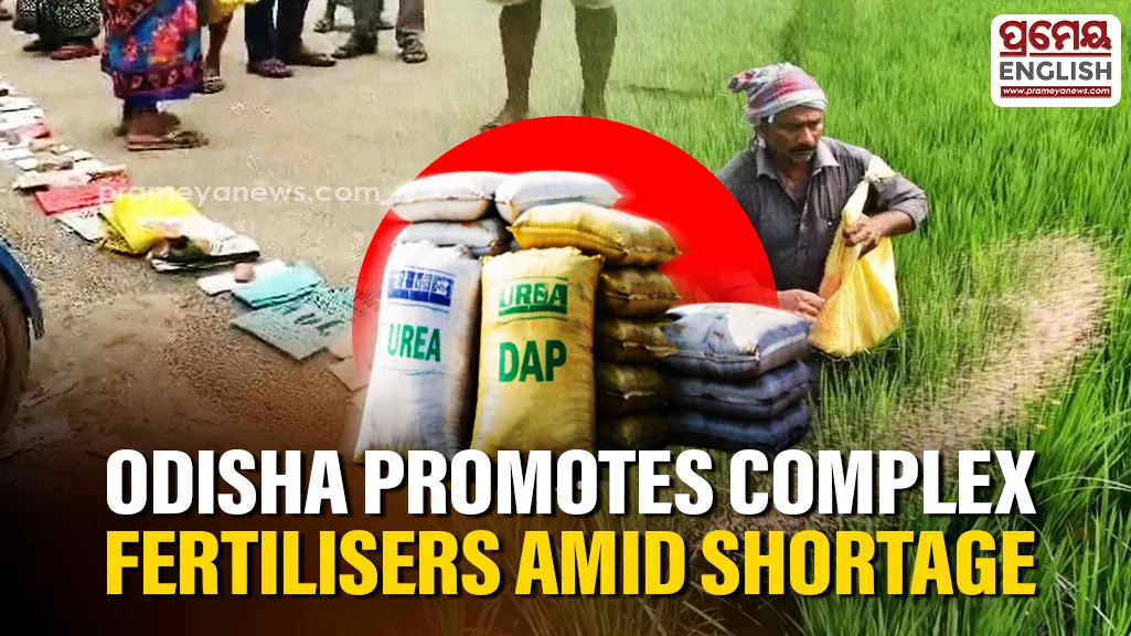 Odisha Govt directs Collectors to promote complex fertilisers amid DAP, urea supply concerns
