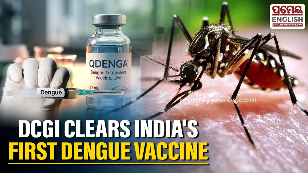 DCGI Clears First Dengue Shot Qdenga Eliminating The Need For Prior Infection Blood Testing