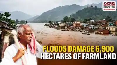 Fresh low-pressure threat deepens farmers’ woes as floods damage 6,900 hectares of farmland in Odisha’s Athagarh