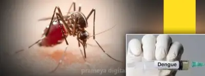 India approves first dengue vaccine ‘Qdenga’; two-dose shot protects against all four virus strains