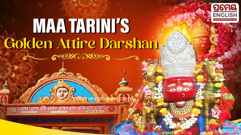 Tarini Brata observed devotion; thousands gather for Maa Tarini’s golden attire darshan


