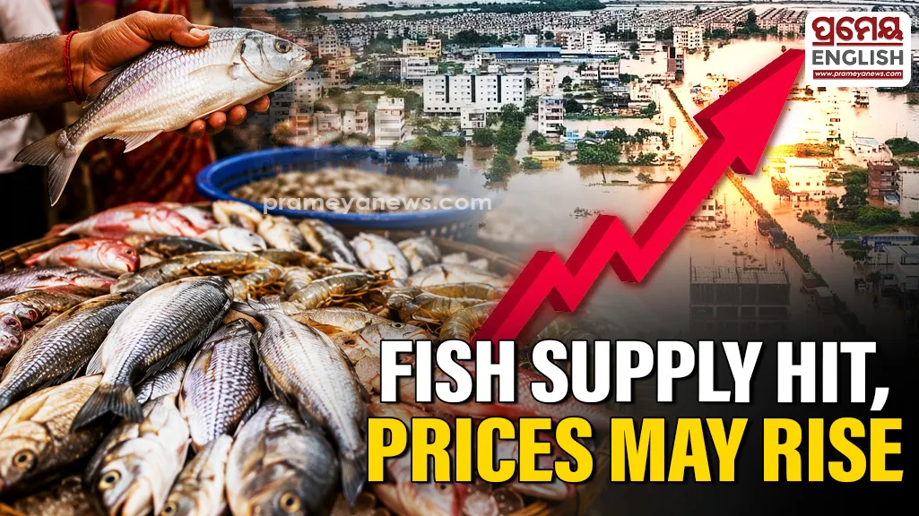 Fish prices likely to rise in Odisha as Andhra supply takes a hit due to floods