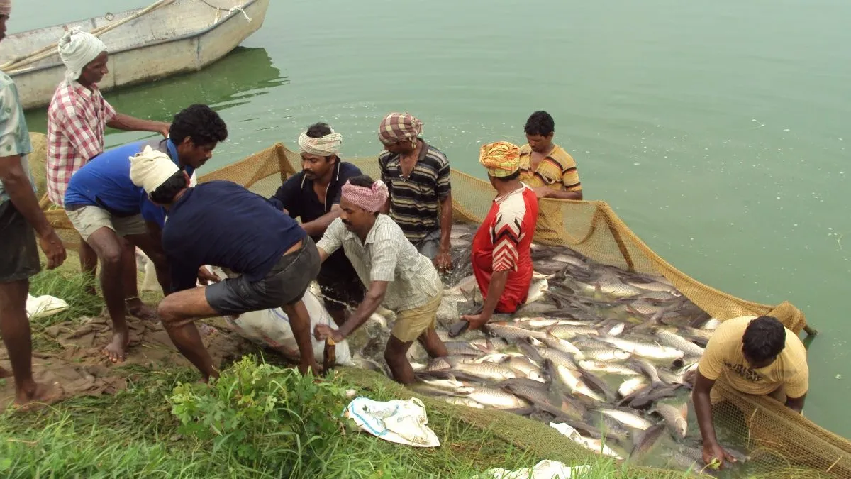 Odisha’s Rs 1,567.96 crore fisheries and aquaculture development proposals approved in last 12 years: Union Minister 