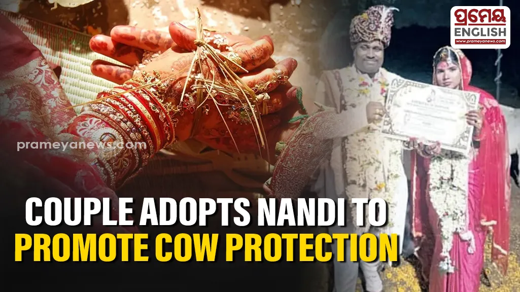 Odisha couple marries in cow shed, adopts Nandi to promote cow protection

