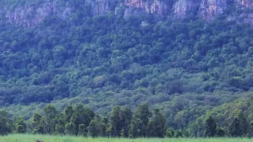 Odisha allocated Rs 0.14 crore to support biodiversity conservation

