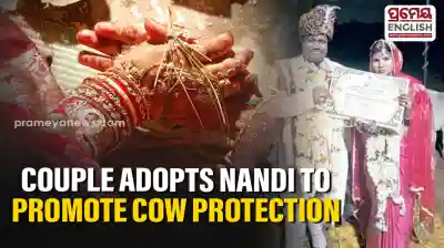 Odisha couple marries in cow shed, adopts Nandi to promote cow protection