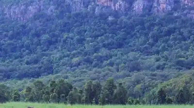 Odisha allocated Rs 0.14 crore to support biodiversity conservation