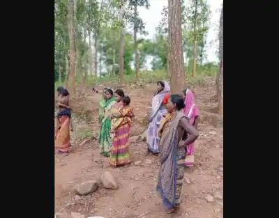 A community on the edge: The struggle for survival of Odisha’s Paudi Bhuyans