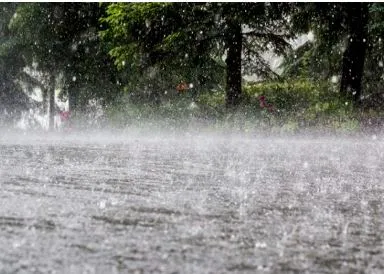 Well-marked low-pressure Over Bay of Bengal to bring heavy rain to South Bengal