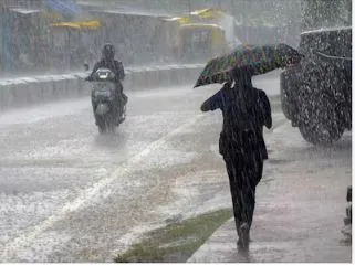 At 328 mm, Jagatsinghpur’s Biridi records highest rainfall in last 24 hours as low-pressure system triggers heavy downpour in Odisha