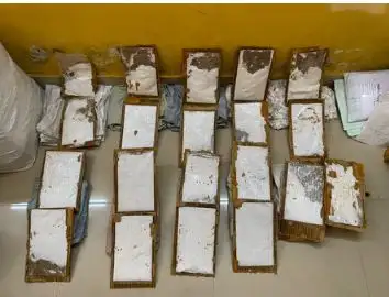 NCB Seizes 11 Kg of Ephedrine Worth 5 Crore, Chennai Man Arrested in International Drug Racket