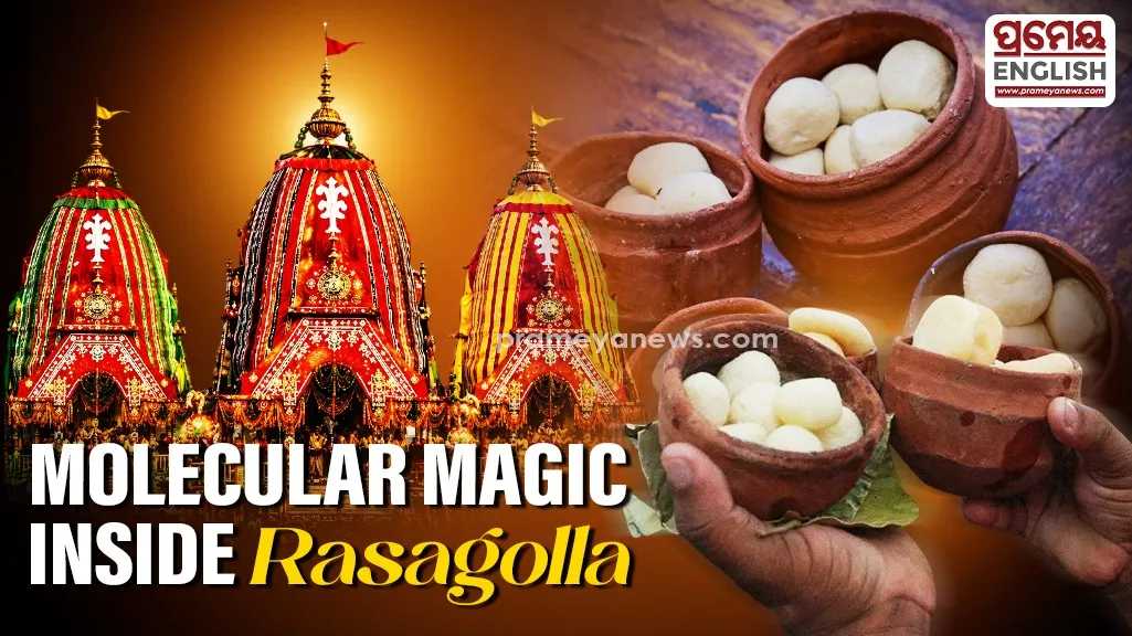 Unlocking Sweet Chemistry behind Niladri Bije Rasagolla