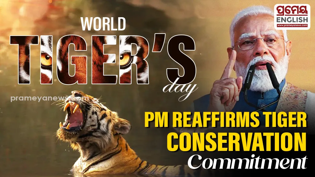 "Reaffirm commitment to conservation": PM Modi hails Tiger conservation efforts says, "India home to 70% of Tiger population"