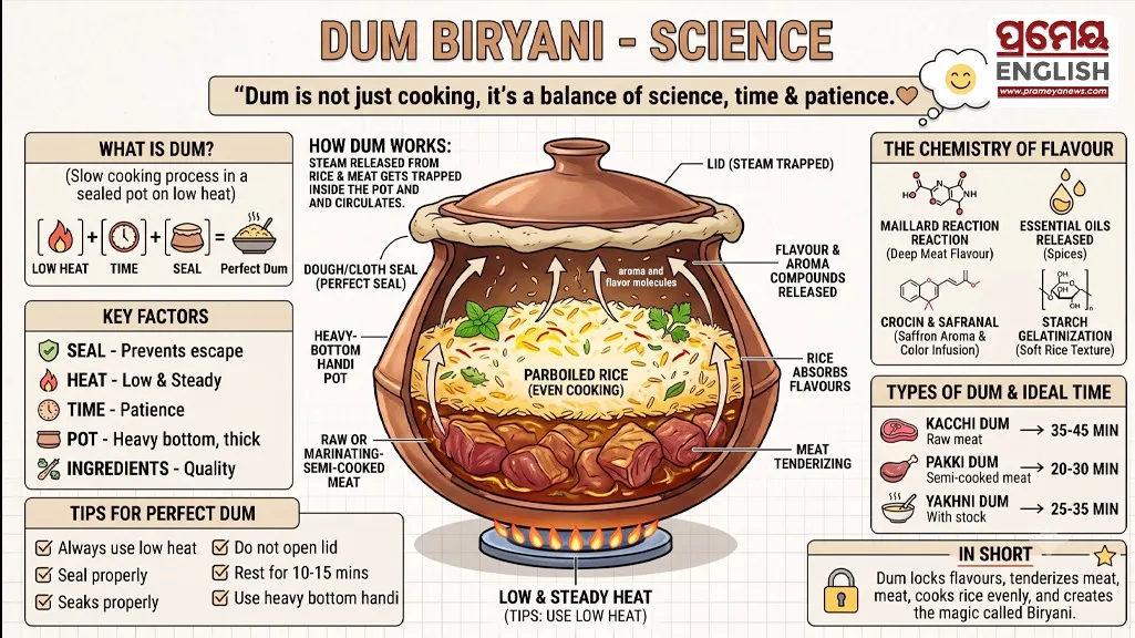 Unlocking Biryani Chemistry and Molecular Secrets of Dum Cooking
