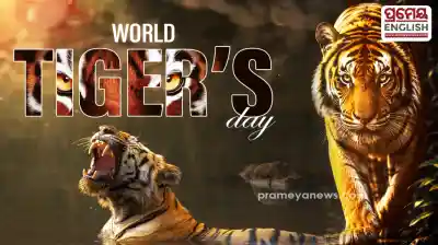 World Tiger Day: Tiger poaching raises alarm as big cats disappear from Odisha's Ganjam Region