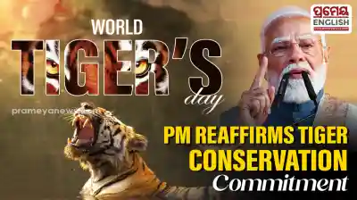 "Reaffirm commitment to conservation": PM Modi hails Tiger conservation efforts says, "India home to 70% of Tiger population"