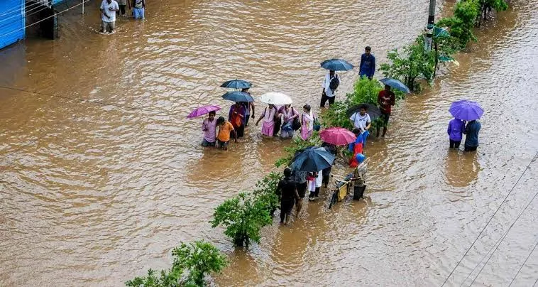 In Baleshwar district, rescue teams are working relentlessly to save both people and livestock from flood-affected areas.