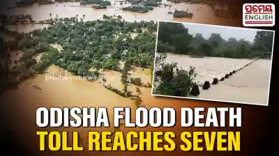 Odisha flood fury: Death toll rises to 7, five missing as widespread devastation hits several districts
