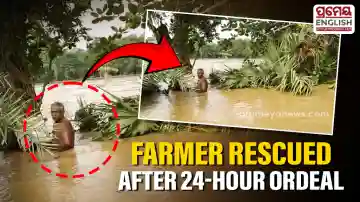Farmer rescued after spending 24 hours stranded on Palm tree amid floodwaters in Bhadrak