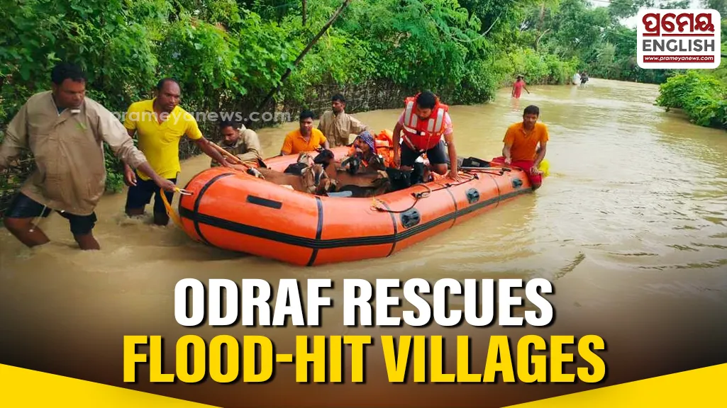 As the flood situation continues to worsen in Jajpur district, personnel of the 8th Battalion of the Odisha Disaster Rapid Action Force (ODRAF) from Chatrapur in Ganjam district have been carrying out relentless rescue and relief operations