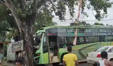 7 injured as private bus crashes into tree in Odisha's Anandpur, helper critical