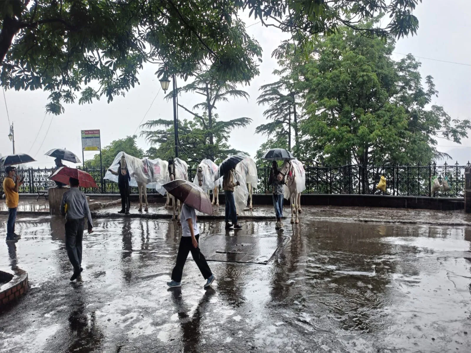 Odisha on high alert amid heavy rainfall, flood preparedness strengthened