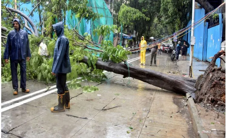 Schools Across Mumbai Metropolitan Region to Remain Closed on Monday as IMD Issues Orange Alert