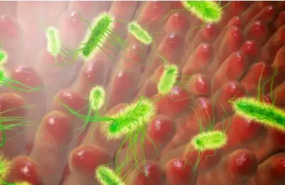 E coli found in illegally sold drinking water causes vomiting, diarrhoea outbreak in Karnataka