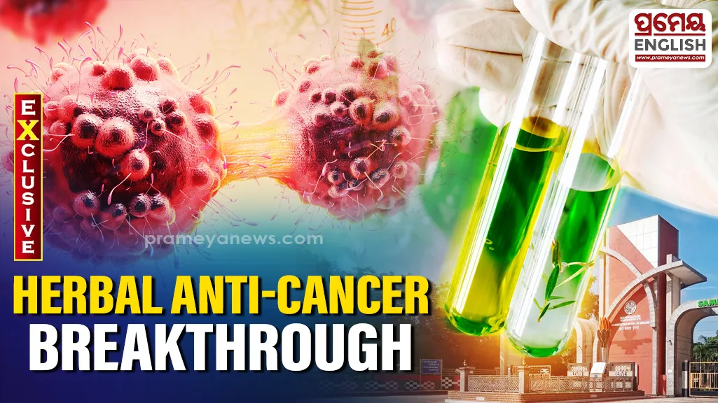 Researchers believe the formulation could hold particular promise in the treatment of pancreatic cancer, though they stressed that further scientific validation through clinical trials is essential before any therapeutic claims can be made.