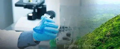 Sambalpur University develops promising Herbal Anti-Cancer formulation; human trials planned
