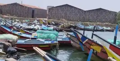 Odisha Fishermen allege illegal entry of Andhra trawlers into state waters, demand stronger marine patrolling