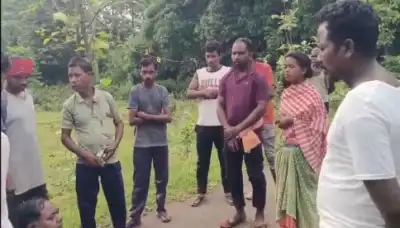 Elephant attack: Elderly man succumbs to injuries in Odisha’s Sundargarh