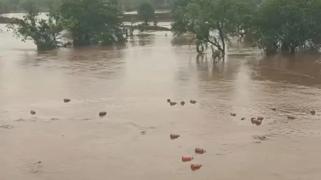 Heavy Torrential Rains Sweep Away Thousands Of HPCL Gas Cylinders Into The Patalganga River