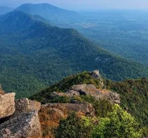 3 tourists from Keonjhar go missing while trekking across Malyagiri forest in Angul
