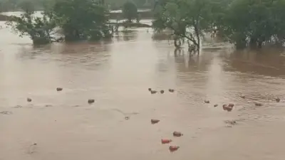 Heavy Torrential Rains Sweep Away Thousands Of HPCL Gas Cylinders Into The Patalganga River