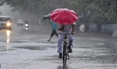 IMD Issues Yellow Warning for Thunderstorms, Heavy Rain in Odisha Till July 15