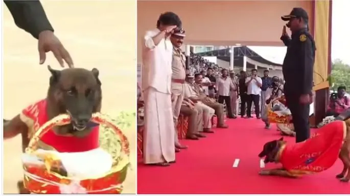 It’s how sniffer dog ‘Rocky’ greets CM Vijay like a benign host: Offered bouquet, paid salute with precision!

