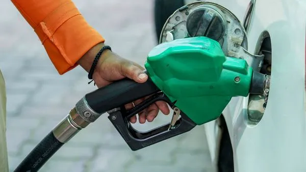 Petrol prices could have hit Rs 125/Litre without ethanol blending: Govt