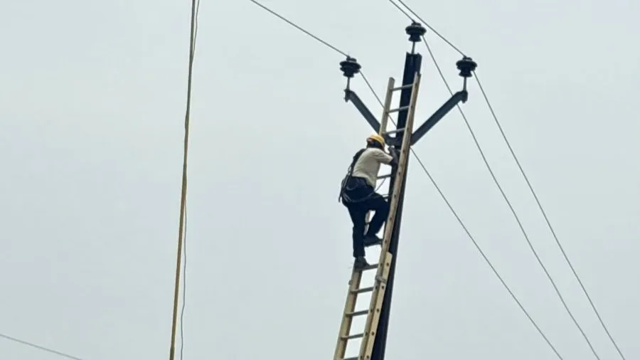 Odisha: Power supply restored to 93% consumers as floodwater recedes  