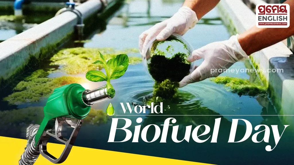 World Biofuel Day Highlights Green Energy — Why it Matters for Our Global Future