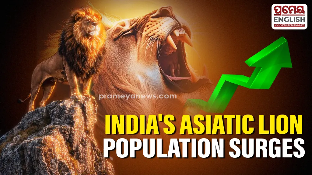 World Lion Day: India's Asiatic lion population rises from 523 to 891, says Bhupender Yadav

