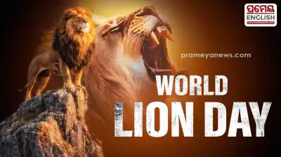 World Lion Day: The roar that must not fall silent