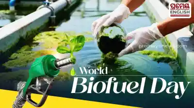 World Biofuel Day Highlights Green Energy — Why it Matters for Our Global Future