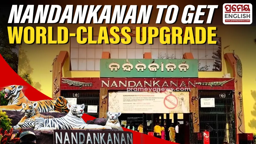Enclosure construction for several of the animals has already been completed, while work on the remaining facilities is nearing completion. The animals are expected to arrive before Nandankanan’s Foundation Day on December 29