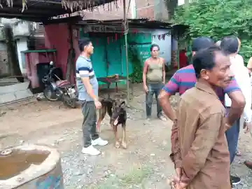Major robbery in Ganjam: Gold, silver ornaments and ₹8 lakh cash stolen