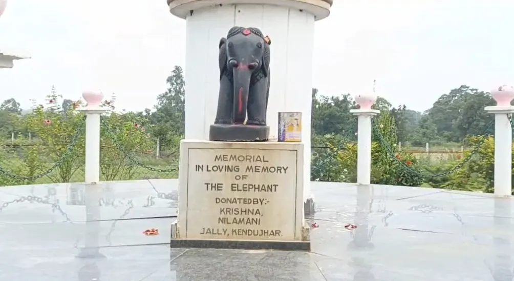 World Elephant Day: Jali villagers renew pledge to save elephants