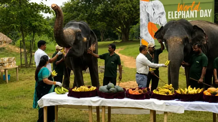World Elephant Day celebrated at Nandankanan with awareness activities

